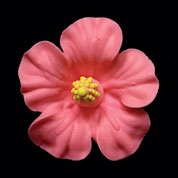 Gum Paste Flowers Hibiscus Pink Small*