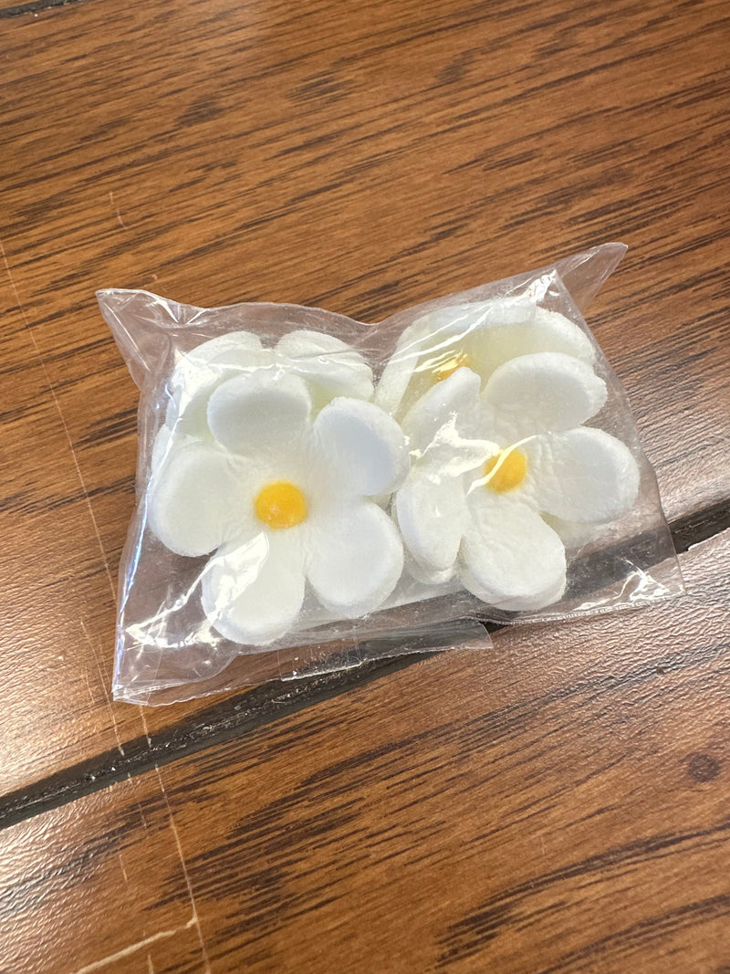 White Blossoms 1”