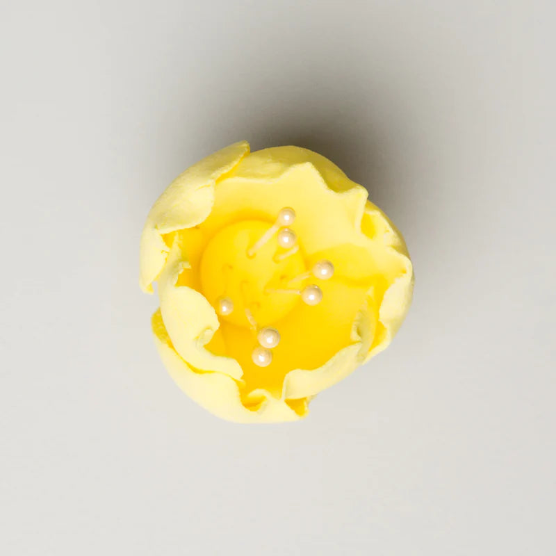 1" Tulip -Lemon Yellow*