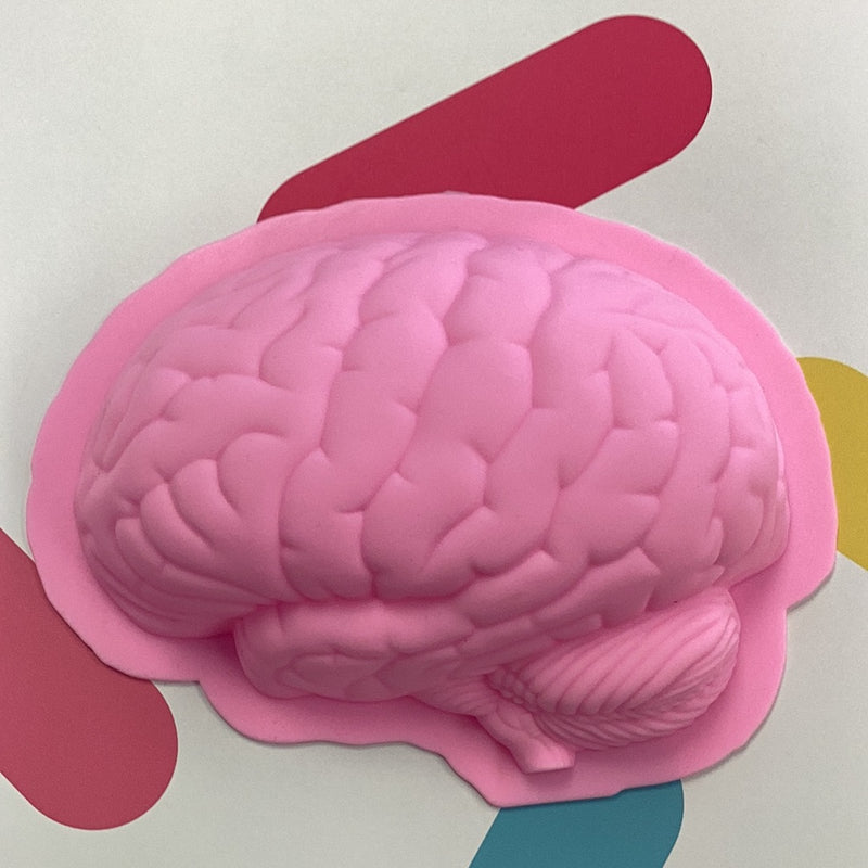 Silicone Mold 3D Brain 9" *