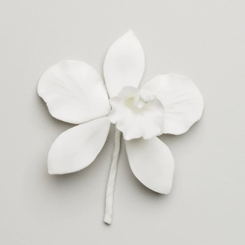 2.5" Cattleya Orchid - Small - White*