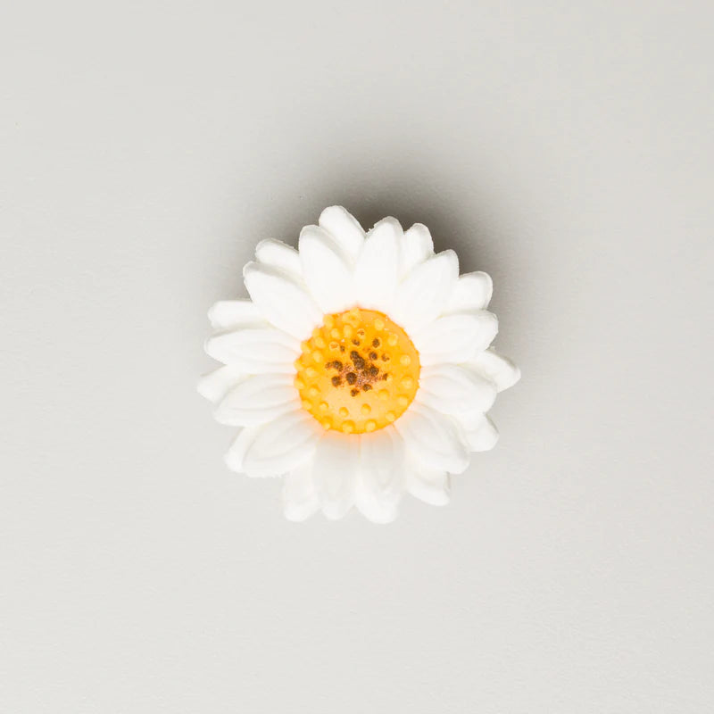 Gum Paste Flowers White Shasta Daisy 1.5”*