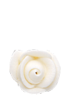 Royal Icing Mini White Roses*