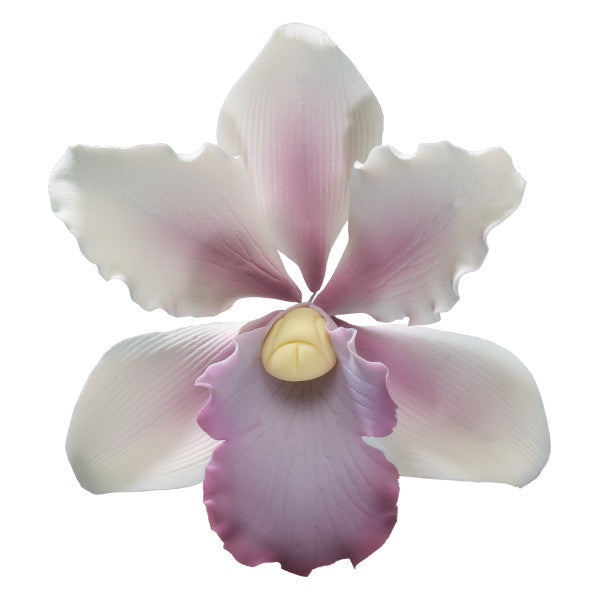 Tropical Orchid Gum Paste Flowers*