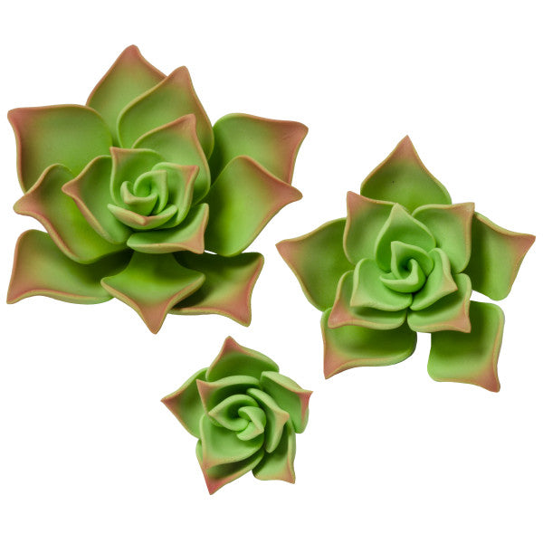 Green Succulents Gum Paste Flowers Small*