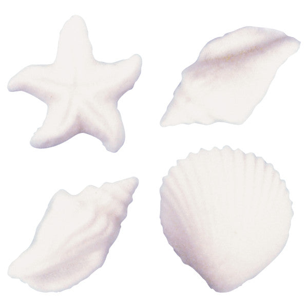 Dec On Sea Shells Sea Shells 4 PCS SeaShell