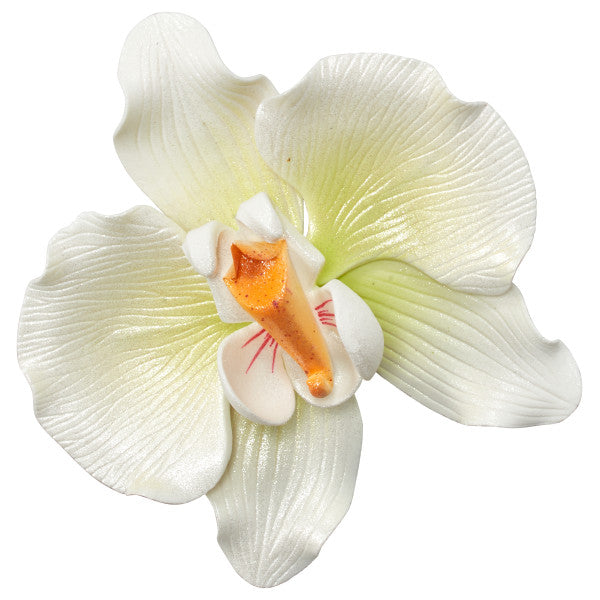 Orchid Gum Paste Flowers*