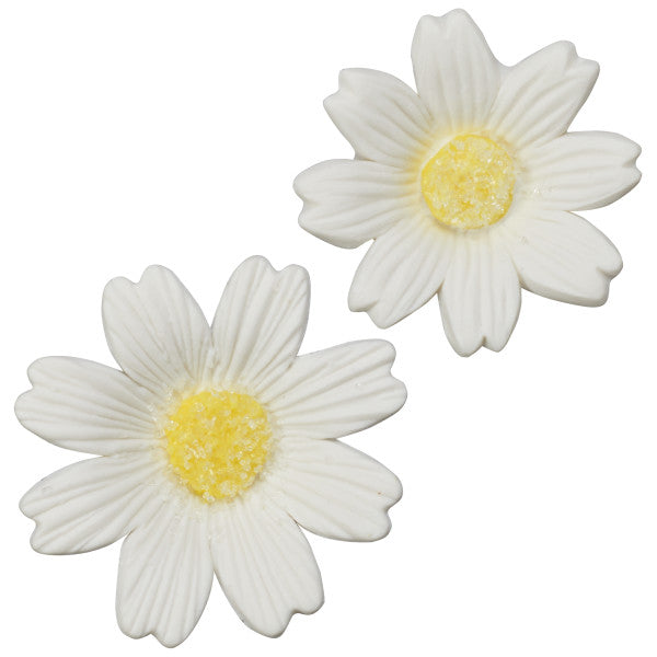 Gum Paste Flowers White Daisies