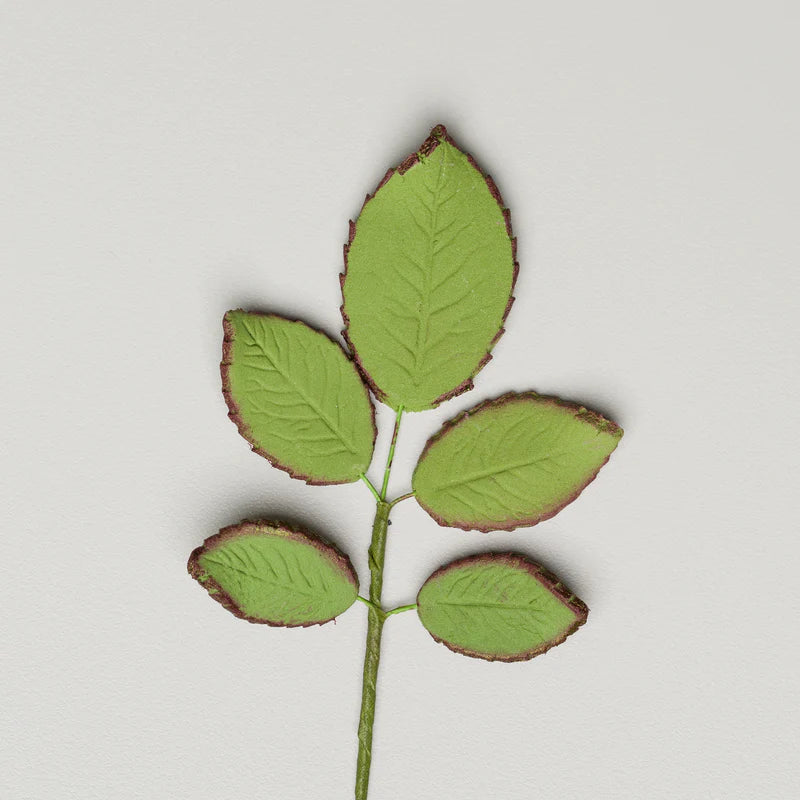 3" Rose Leaf Filler - Green*
