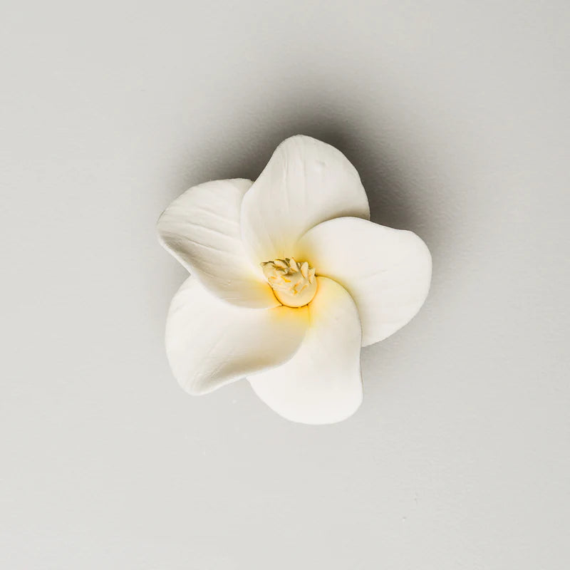 2.5" Hibiscus - White*