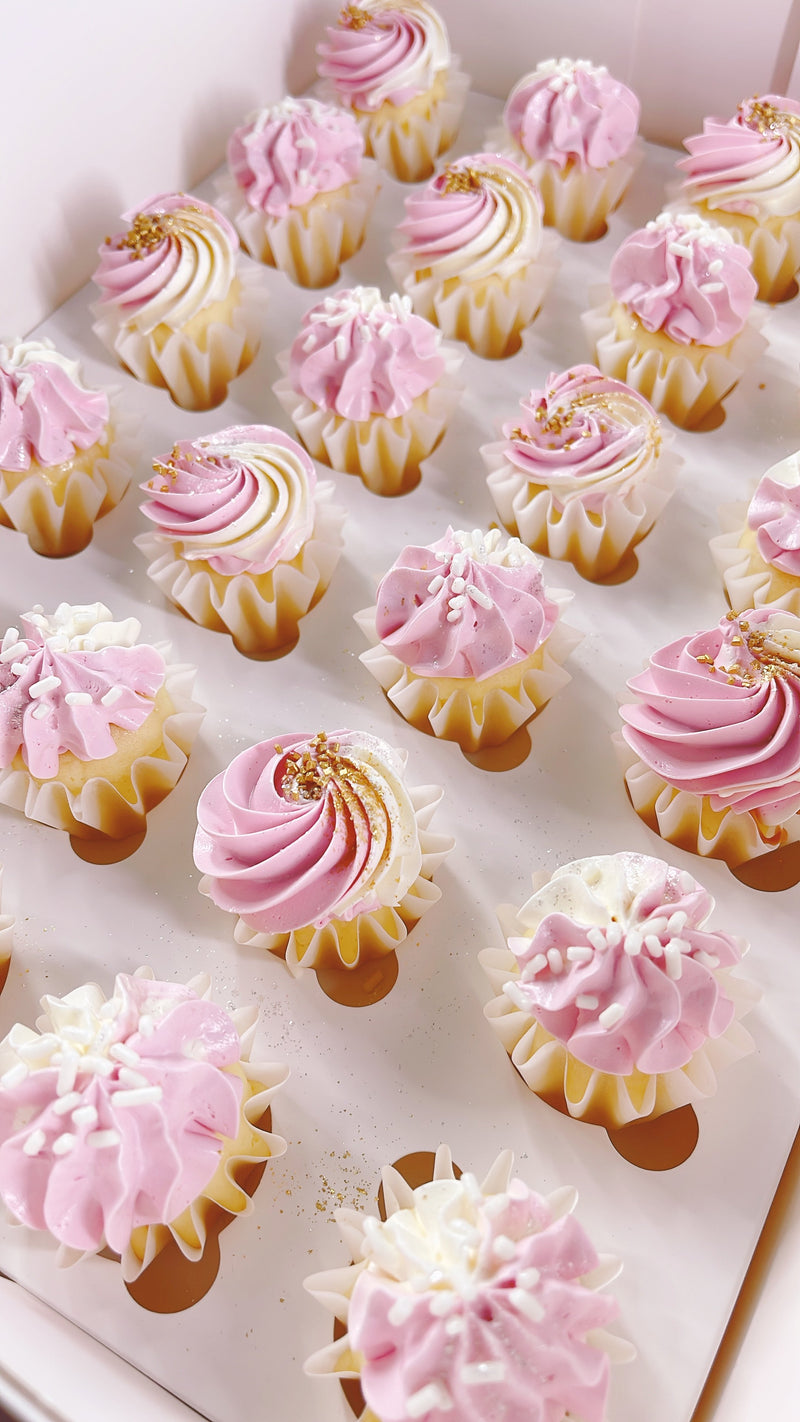 More Mini Cuppies 48 Pack