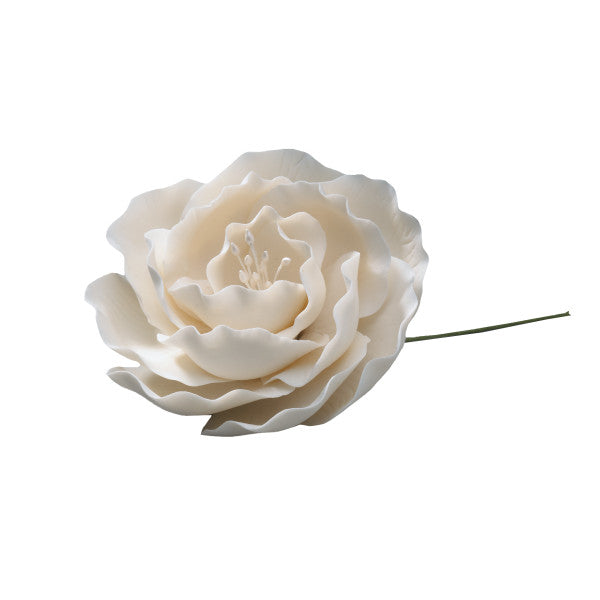White Briar Rose*