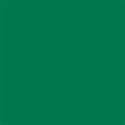 Forest Green Americolor Gel Color 4.5 oz